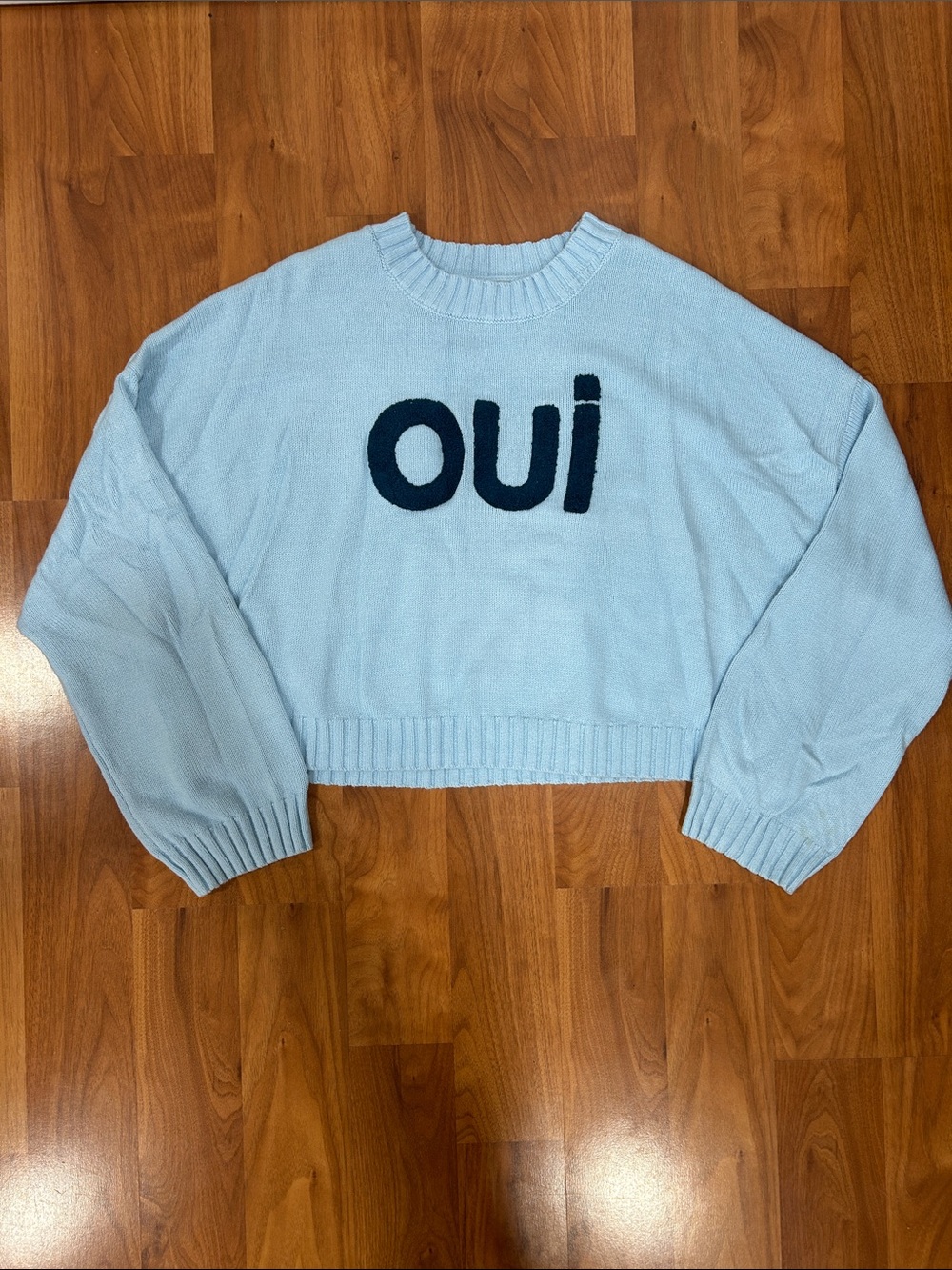 Sincerely Jules Light Blue 'Oui' Cropped Crewneck Sweater